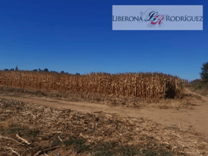 -3