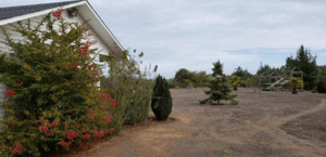 -5