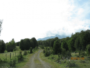 sector-rio-pescado-(73972)-1
