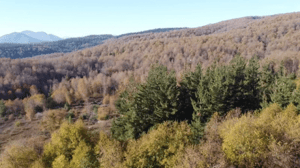 -5