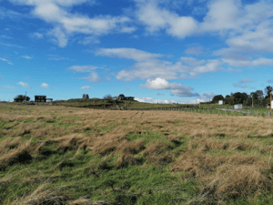 parcela-en-pichilaguna,-llanquihue-(73805)-1