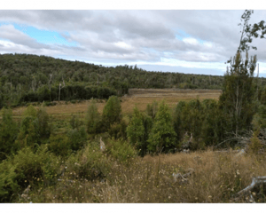 p20252304snh-1