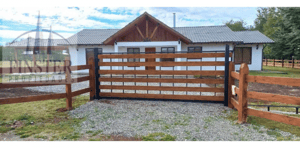 p20251273ixb-1