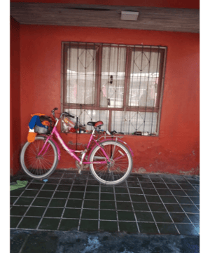 p2025766ltd-1