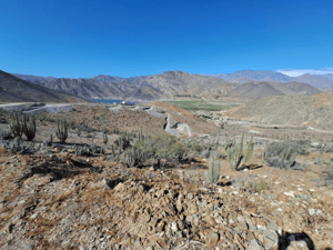 p20251674fg0-1