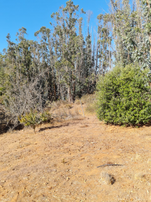 p20253445rdr-1