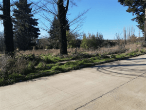 Terreno en Victoria - 116066484-3 Terreno en Victoria - 116066484-3