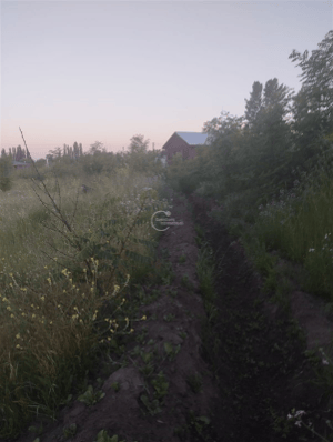 -4