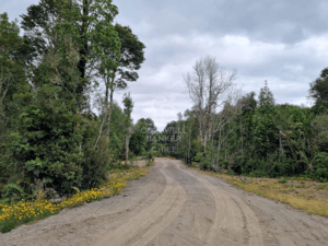 5868-1