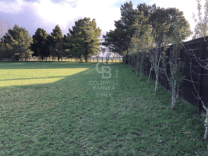 -4