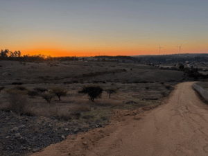 114101713-1