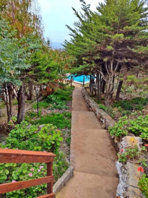 coquimbo-(73930)-1