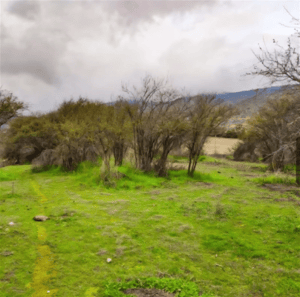 -4