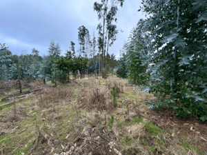 amplio-terreno-(69015)-1