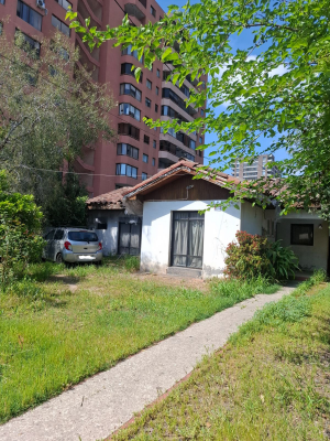 p20254804xjw-1