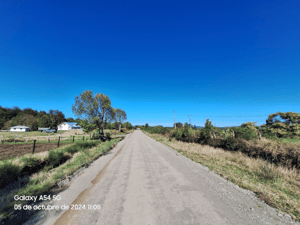 p20254839c0u-1