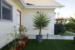 -3