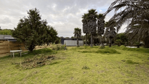 -3