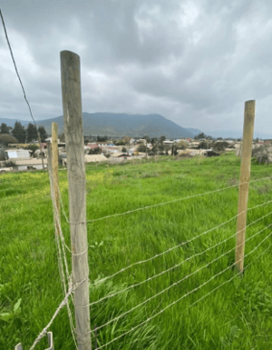 -4