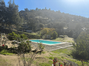 parcela-5700-m2---piscina---arboles-frutales-(-1