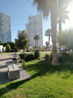 102105767-1