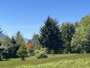 -5