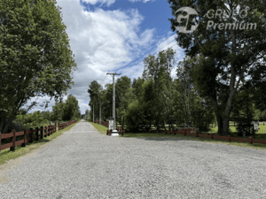 -4