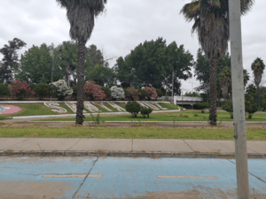 Parcela de Agrado en Santa Cruz - Parcela Hacienda Panamá, Santa Cruz (124428)-2 Parcela de Agrado en Santa Cruz - Parcela Hacienda Panamá, Santa Cruz (124428)-2