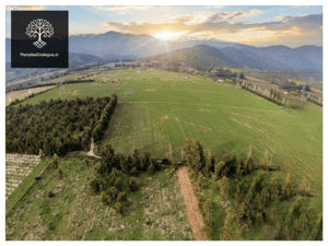 vendo-terreno-en-codegua-10-min-ruta-5-sur-(144-1