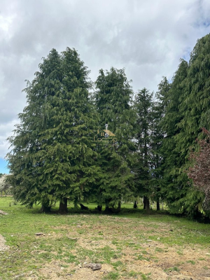 -5