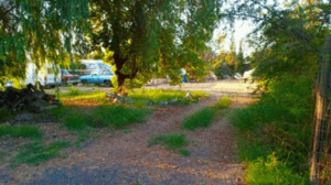 114107578-1