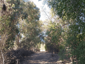 -5