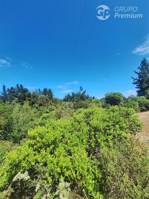 114074869-1