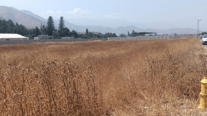 487402-1