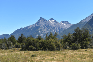 inversion-segura-en-zona-en-crecimiento-(148362)-1