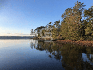 -4