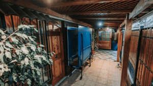 -3