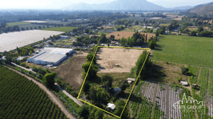 terreno-parcela-paine-2,5-ha-25,000m2-urbanizad-1