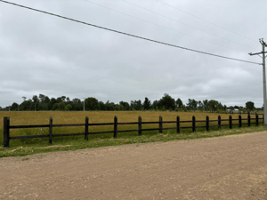 p20266695kw0-1