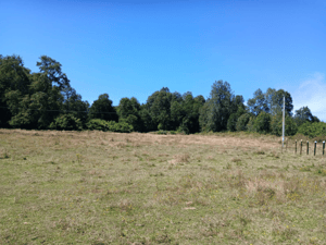 campo-de-5-hectareas-subdividido-en-10-parcelas-1