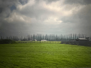 vendo-parcela-fundo-san-jorge,-colina-(123414)-1