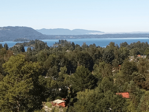 terreno-en-altura-con-vista-al-lago-calafquen,--1