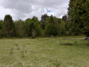 Parcela de Agrado en Villarrica - PARCELAS CUDICO 15 KM DE LICAN RAY, LINDO Y TRA...-3 Parcela de Agrado en Villarrica - PARCELAS CUDICO 15 KM DE LICAN RAY, LINDO Y TRA...-3