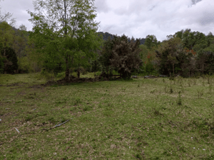 Parcela de Agrado en Villarrica - PARCELAS CUDICO 15 KM DE LICAN RAY, LINDO Y TRA...-4 Parcela de Agrado en Villarrica - PARCELAS CUDICO 15 KM DE LICAN RAY, LINDO Y TRA...-4
