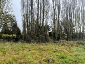 5700-m²-en-sector-consolidado-osorno-(153364)-1
