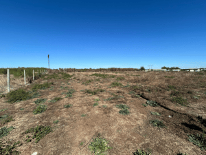 terreno-ideal-para-construir-tu-hogar-sonado-(1-1