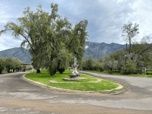 p20251588xn6-1