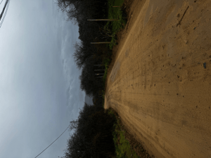 parcelas-10000-m2-miraflores-curacavi-planas-r-1