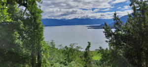 venta-parcela-380000mts-cisnes-1