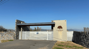 venta-parcela-de-5000-m2-en-condominio-el-madrono-1